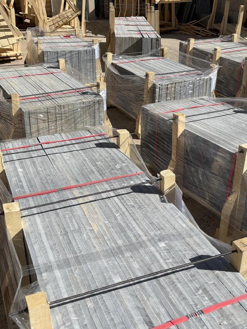 پلاک لایبید 